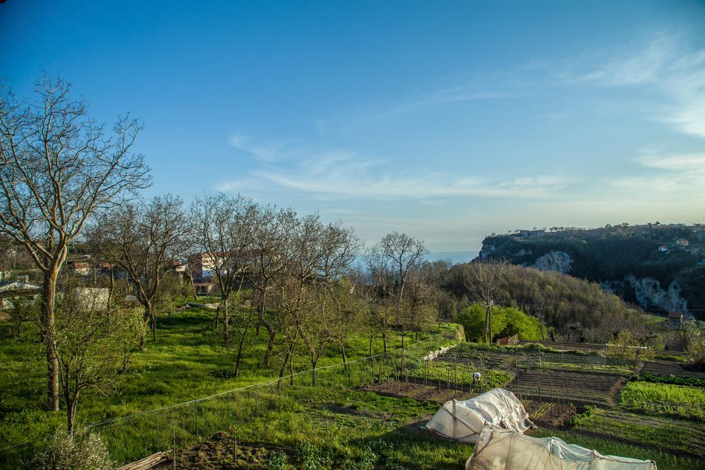 Da Zia Adele Hotel Agerola Ruang foto